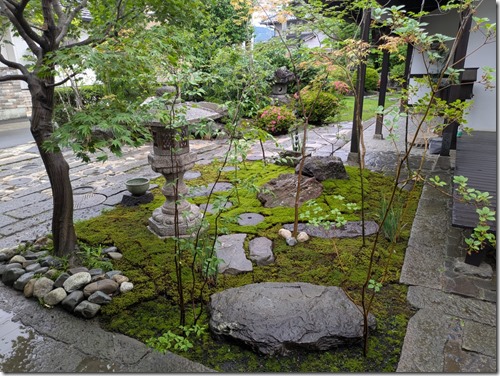 PXL_20250610_065843124