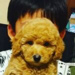 篠ノ井造園